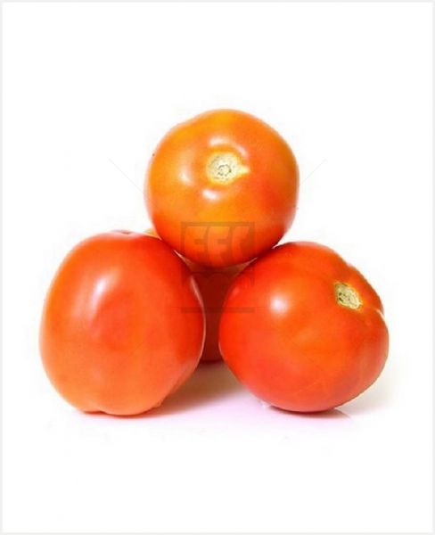 Tomato Iran