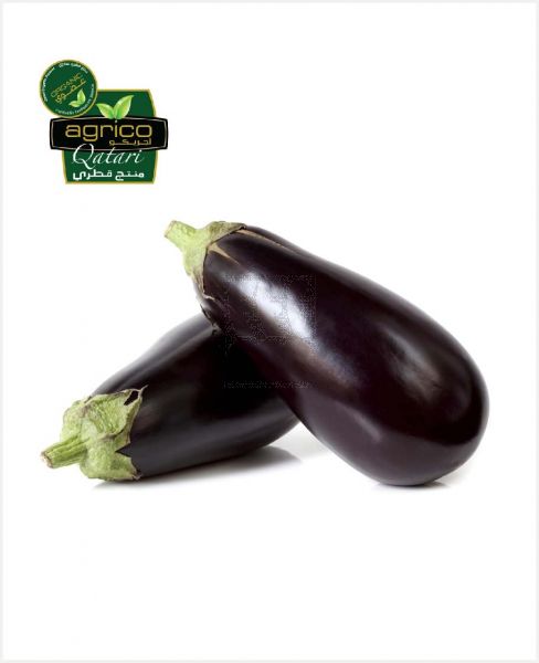 AGRICO EGGPLANT QATAR