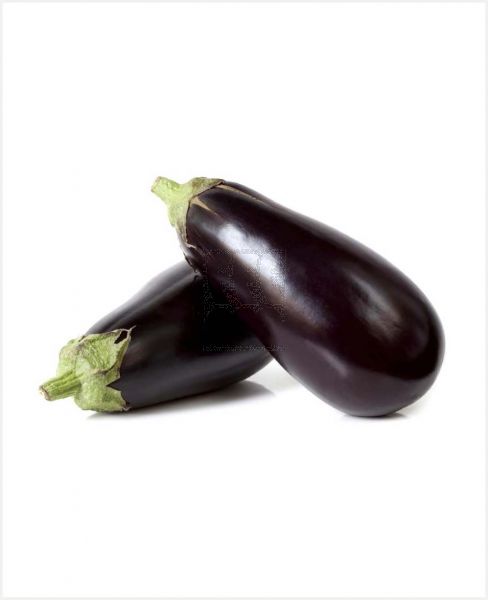 EGGPLANT IRAN