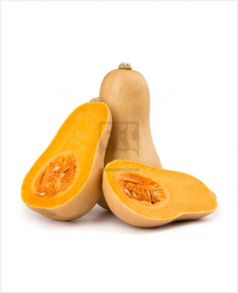 SQUASH BUTTERNUT USA