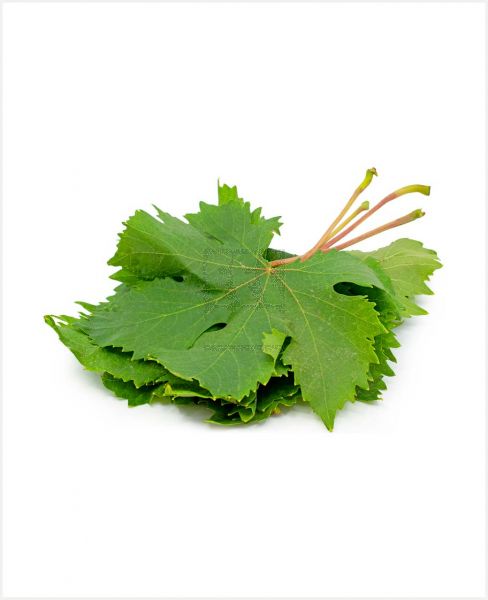 GRAPES LEAVES