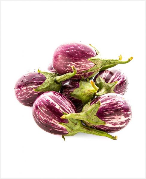 BRINJAL MULTICOLOUR DOHA