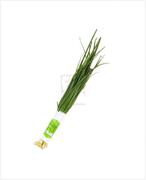 PREMIUM SPRING ONION QATAR 180GM