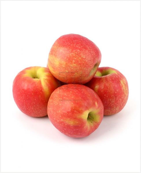 APPLE PINK CRIPPS AFRICA