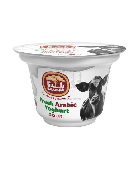 BALADNA ARABIC YOGHURT 170GM