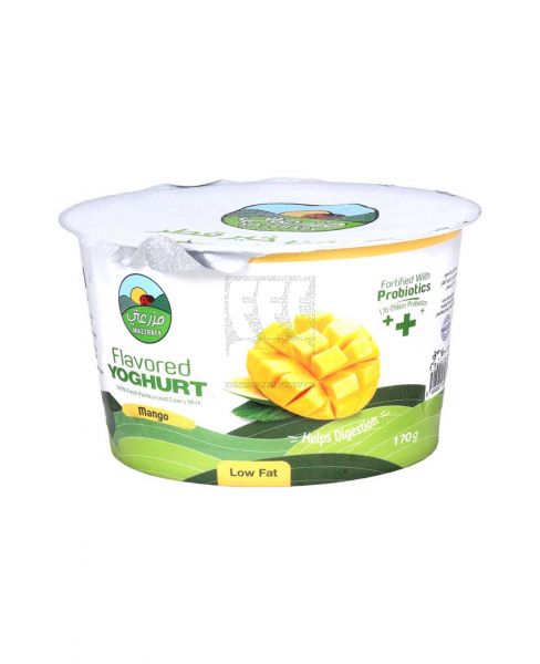 MAZZRATY FLAVOURED YOGURT MANGO LOW FAT 170GM
