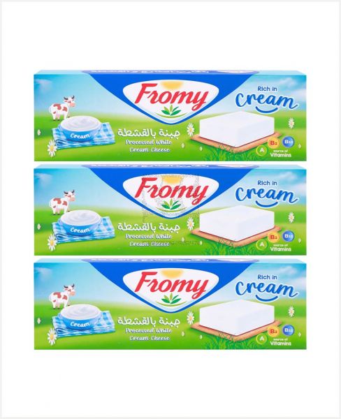 FROMY PROCESSED WHITE CREAM CHEESE 12PCS 3X168GM PROMO
