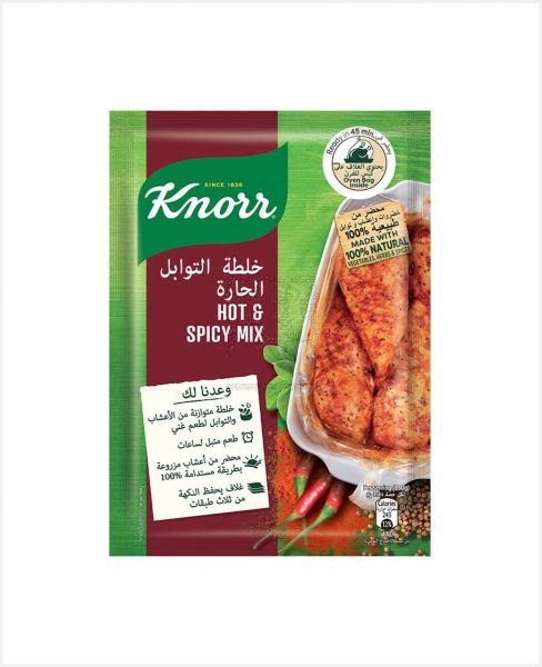 KNORR HOT AND SPICY MIX 34GM