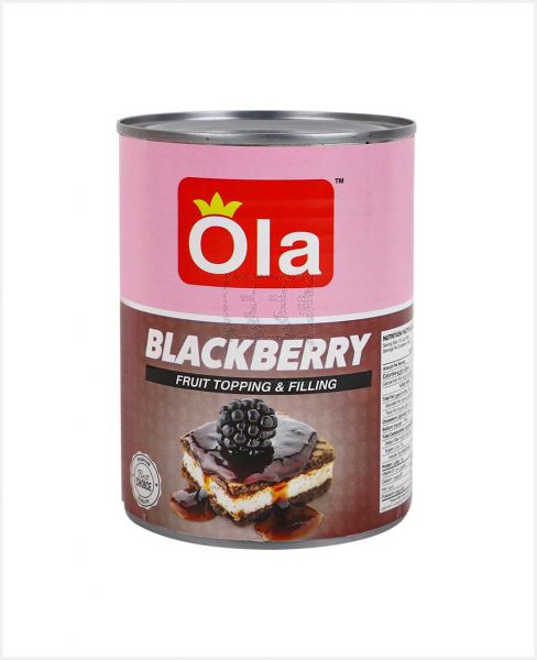 OLA BLACKBERRY FRUIT TOPPING AND FILLING 595GM