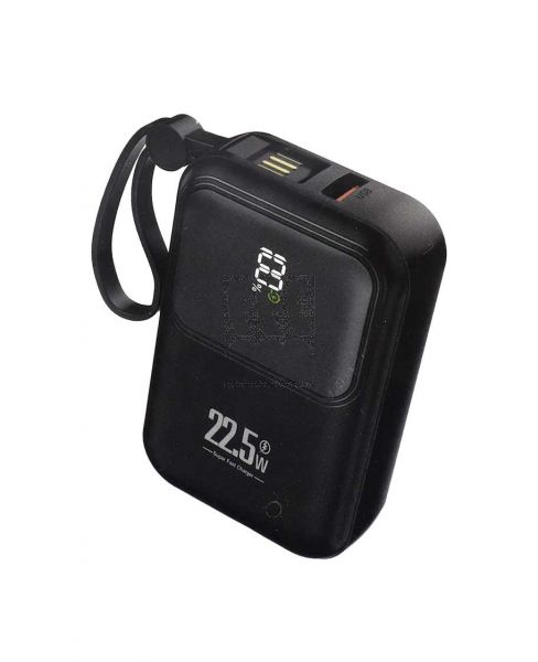 WELLTECH POWER BANK 10000MAH WM-PD20
