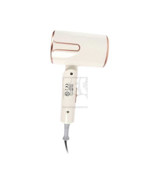 DALING PROFESSIONAL HAIR DRYER DL-3031