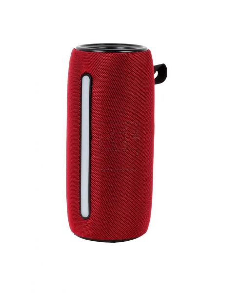 POWERFUL SPEAKER 10W P2PRO