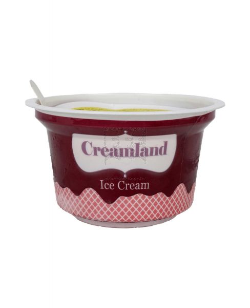 CREAMLAND ICE CREAM MANGO 125ML