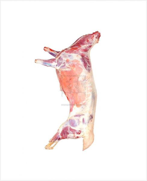 AUSTRALIAN LAMB WHOLE CARCASS