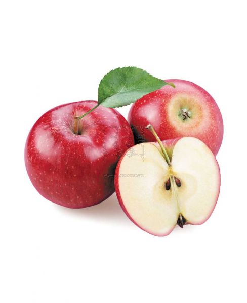 APPLE RED SERBIA
