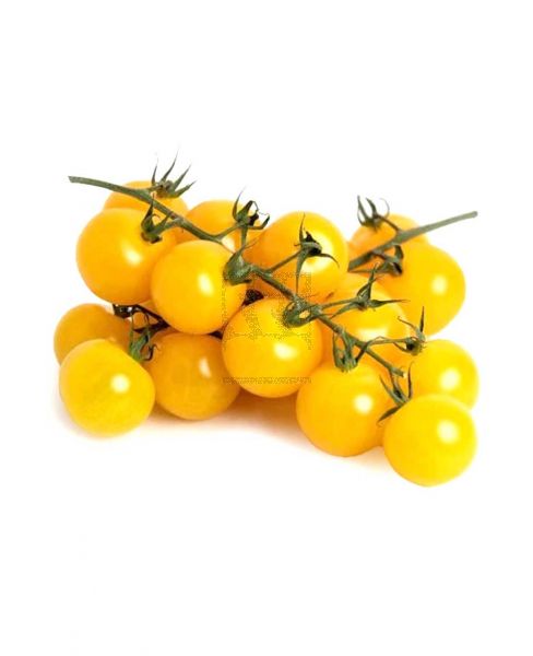 CHERRY TOMATO YELLOW QATAR