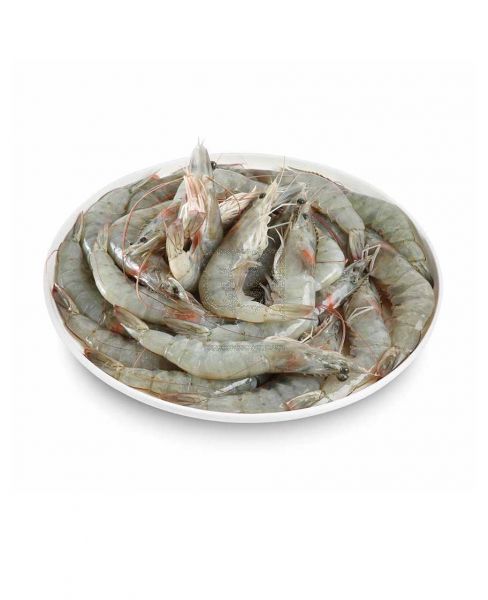 PRAWNS SMALL UAE