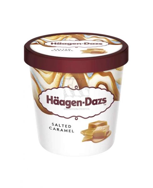 HAAGEN-DAZS SALTED CARAMEL ICE CREAM 460ML