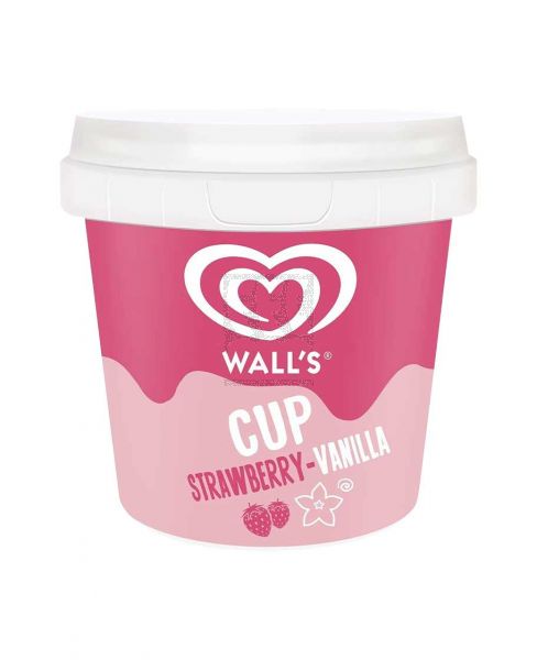 AL GIDA STRAWBERRY VANILLA CUP ICE CREAM 100ML