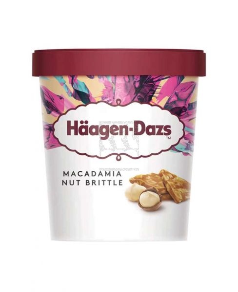 HAAGEN-DAZS MACADAMIA NUT BRITTLE ICE CREAM 460ML