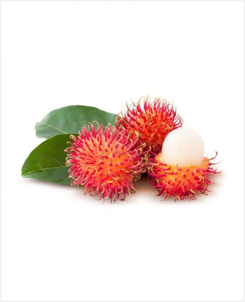 RAMBUTAN INDONESIA