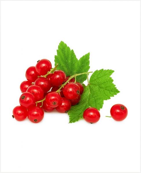 RED CURRANTS