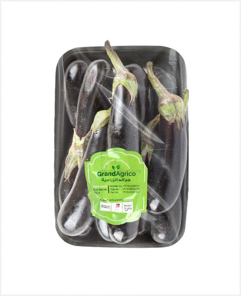 PREMIUM EGG PLANT BLACK QATAR 1KG PKT