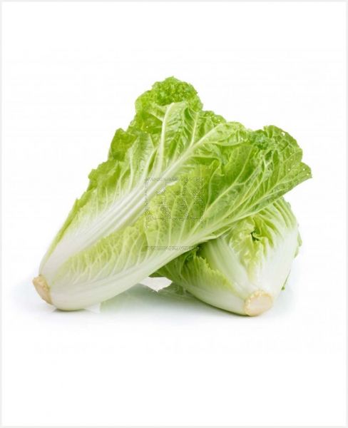 CHINESE CABBAGE