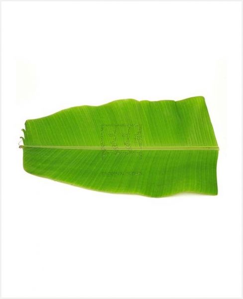 BANANA LEAVES