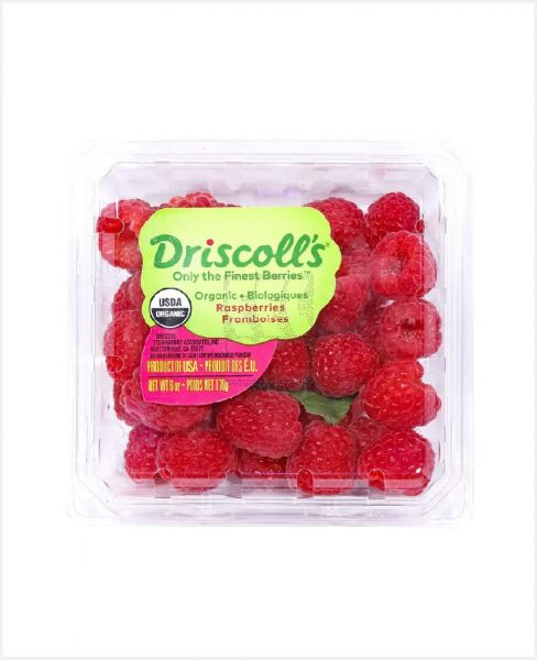 RASPBERRY RED DRISCOLL CLAMSHELL USA 170GM