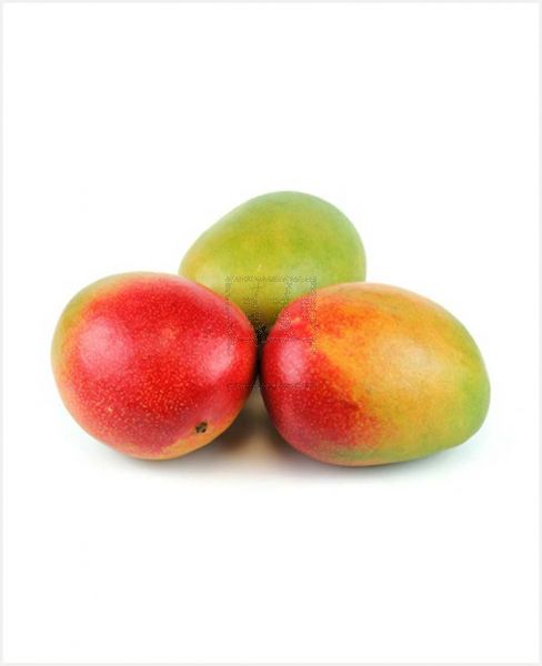 MANGO KENYA