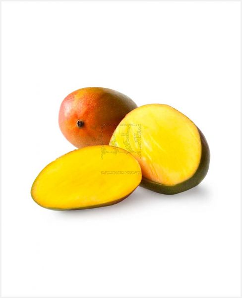 MANGO EGYPT