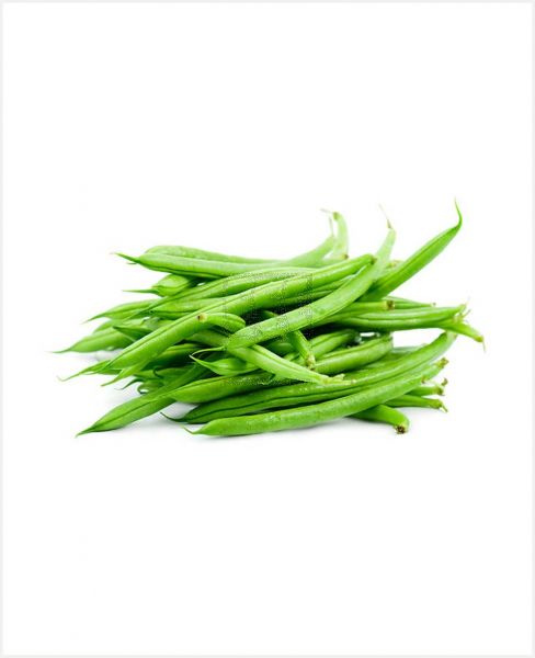 BEANS HARICOTS VERTS