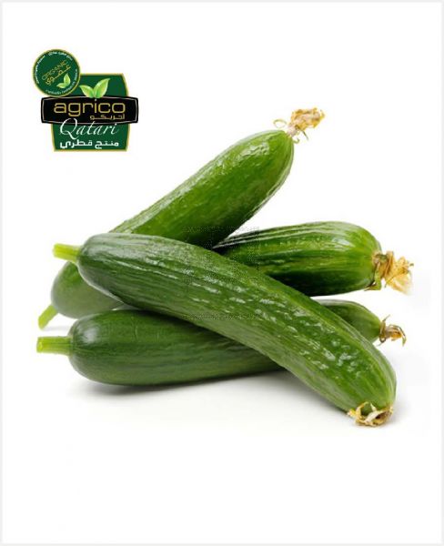 Agrico Cucumber Doha 1kg