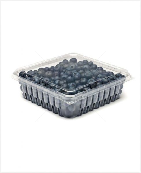 BLUEBERRY CLAMSHELL 170GM
