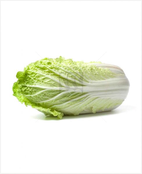 CABBAGE CHINESE