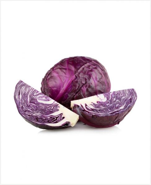 CABBAGE RED DOHA