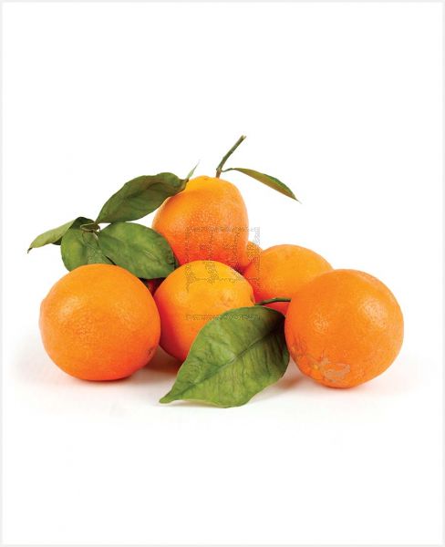 CLEMENTINE LEBANON