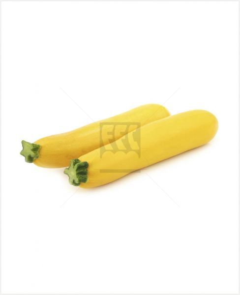 COURGETTES YELLOW HOLLAND