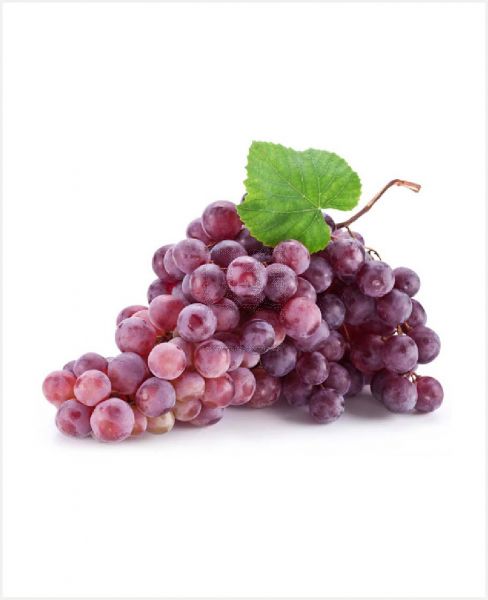 GRAPES RED USA