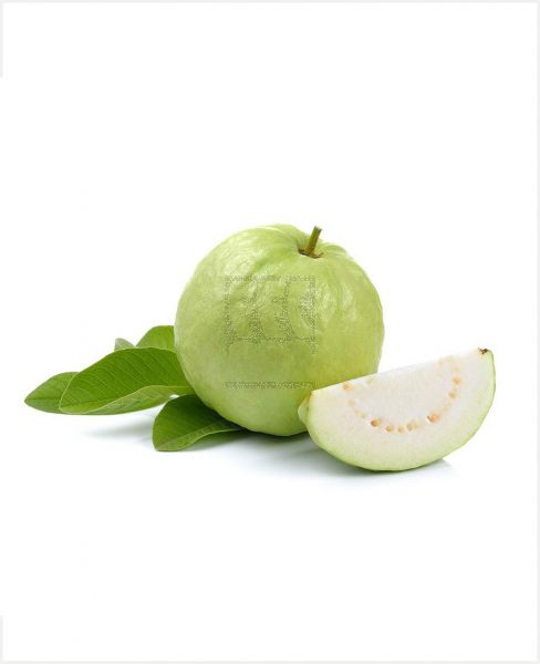 GUAVA INDIAN