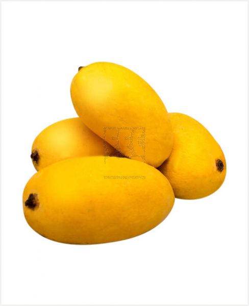 MANGO CHAUNSA