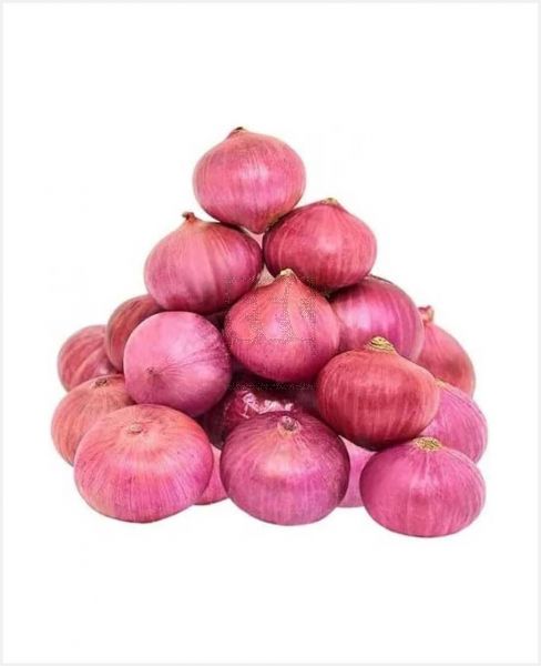 ONION SUDAN