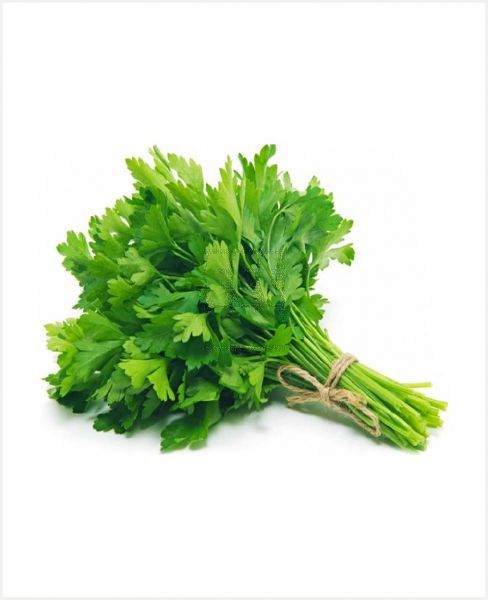 PARSLEY IRAN