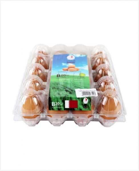 AL BAYYAD FRESH BROWN EGGS 20S (PLASTIC)