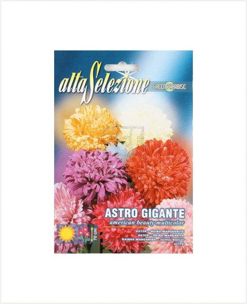 ALTA SELEZIONE ASTRO GIGANTE (ASTER) 1.5GM #ASF 304/1