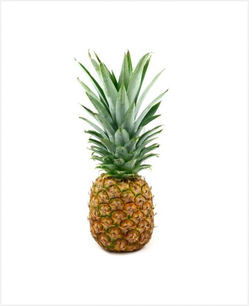 PINEAPPLE PHILIPPINES