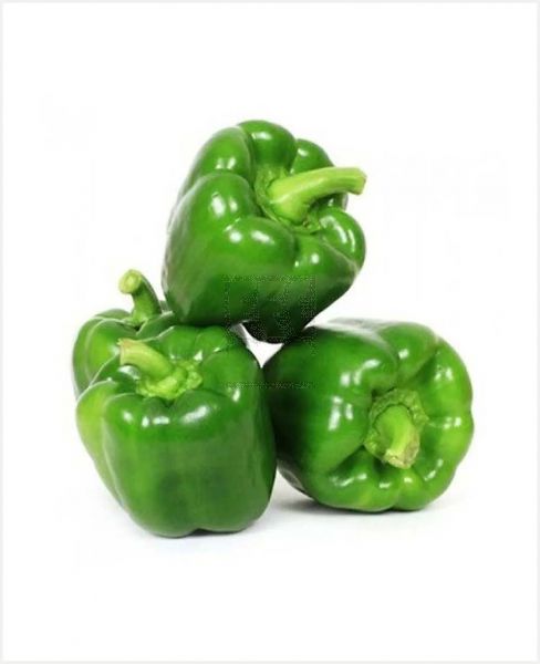 PREMIUM GREEN PEPPER QATAR 1KG PKT