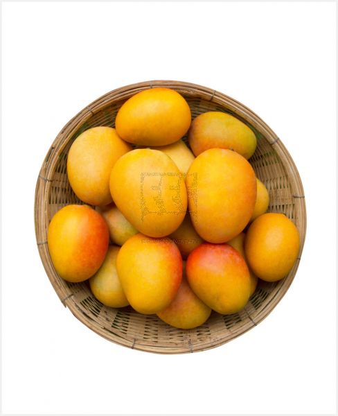 Mango Colombia
