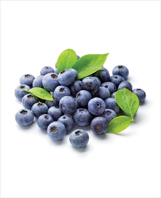 Fresh Blueberry from Family Food Centre Qatar
